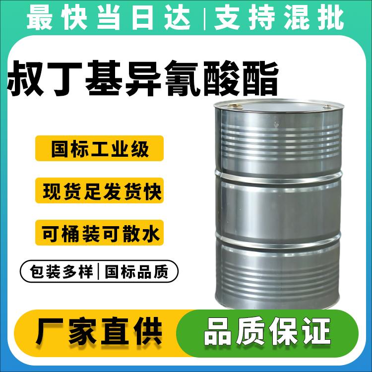叔丁基异氰酸酯